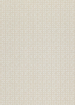 Aslin Ivory by Threads Designer Fabric