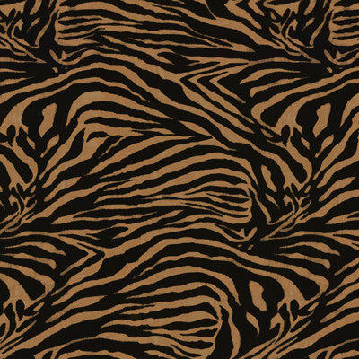 Kravet Design Zebra-84 by Kravet Design Designer Fabric