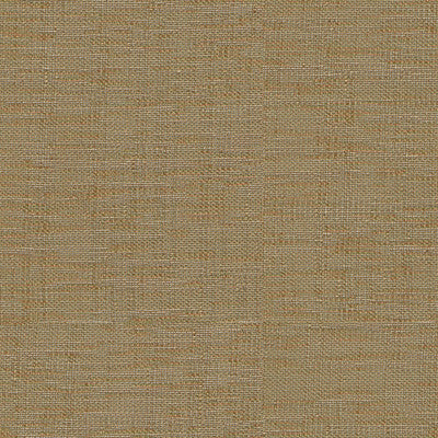 9795-1616 by Kravet Basics Designer Fabric