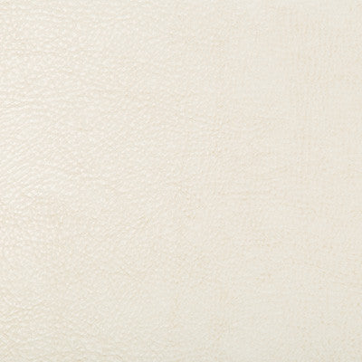 Kravet Design Beholder-1 by Kravet Design Designer Fabric