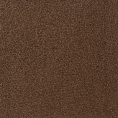 Kravet Basics Matter-6 by Kravet Basics Designer Fabric