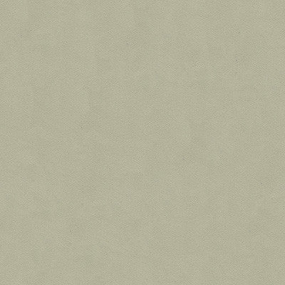 Ultrasuede Green Ash by Kravet Design Designer Fabric