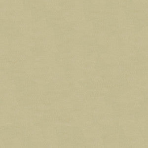 Kravet Design 4070-11 by Kravet Design Designer Fabric
