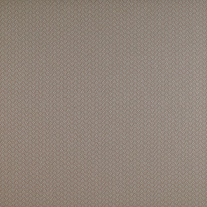 Chueca Beige by Gaston Y Daniela Designer Fabric