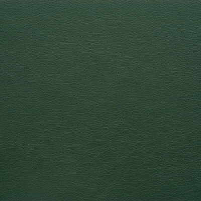 Kravet Design Gato-303 by Kravet Design Designer Fabric
