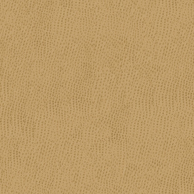 Kravet Contract Belus-1616 by Kravet Contract Designer Fabric