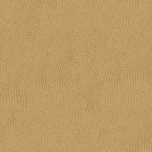 Kravet Contract Belus-1616 by Kravet Contract Designer Fabric