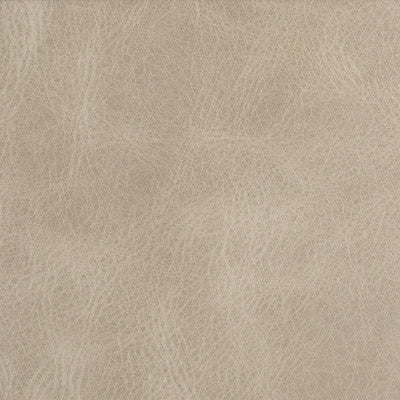 Bern Flax by Kravet Couture Designer Fabric