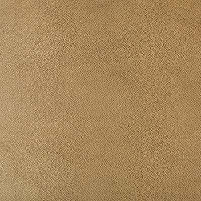Kravet Design Dust-106 by Kravet Design Designer Fabric