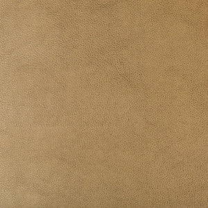 Kravet Design Dust-106 by Kravet Design Designer Fabric