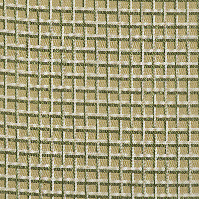 Rejas Verde by Gaston Y Daniela Designer Fabric