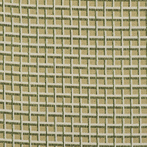 Rejas Verde by Gaston Y Daniela Designer Fabric