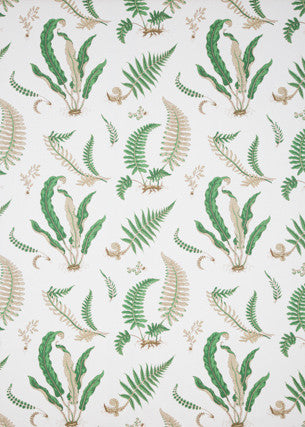 Ferns Print Snow by G P & J Baker Designer Fabric