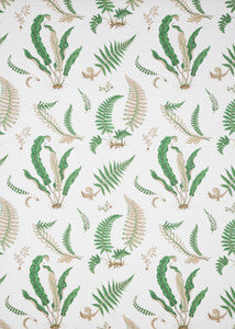 Ferns Print Snow by G P & J Baker Designer Fabric