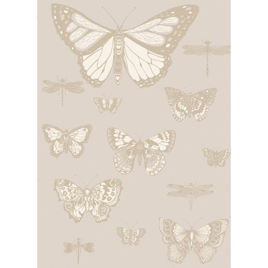 Butterflies & Dragonflies Grey by Cole & Son Designer Wallcovering
