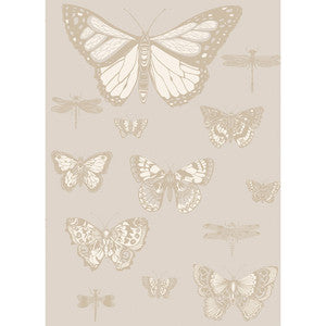 Butterflies & Dragonflies Grey by Cole & Son Designer Wallcovering