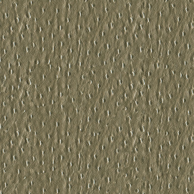Kravet Smart Adara-11 by Kravet Smart Designer Fabric