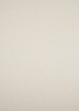 Varas Ivory by Threads Designer Fabric