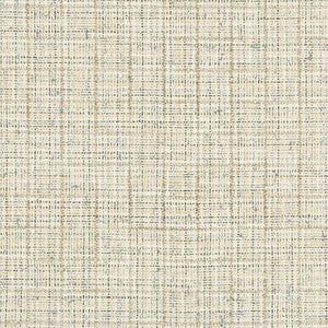 Wenthworth Check Alabaster by Kravet Couture Designer Fabric