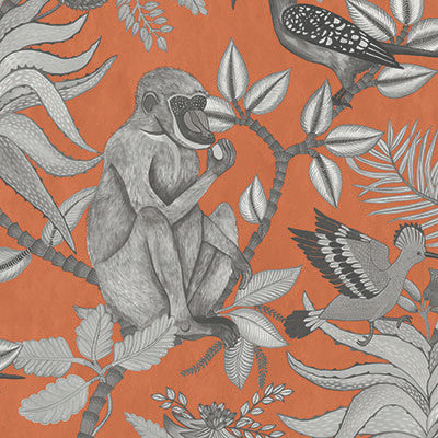 Savuti Orange by Cole & Son Designer Wallcovering