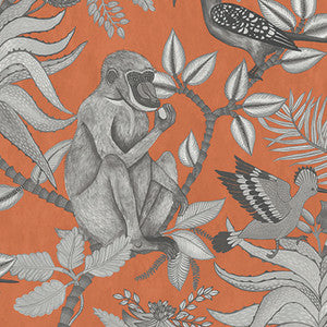 Savuti Orange by Cole & Son Designer Wallcovering