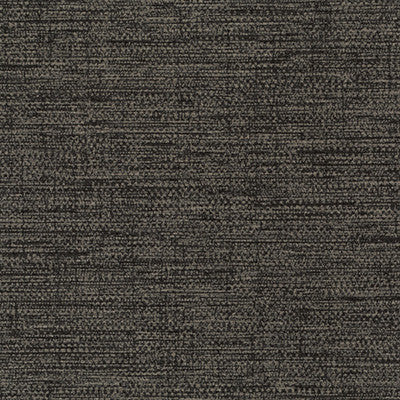 Santo Ebony by Winfield Thybony Designer Wallcovering