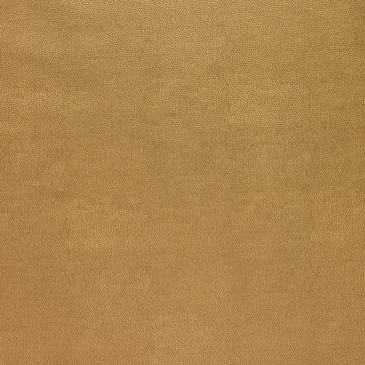 Kravet Design Sparta-404 by Kravet Design Designer Fabric