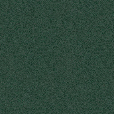 Kravet Smart Rigel-5 by Kravet Design Designer Fabric