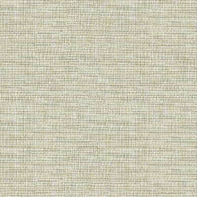 Kravet Couture 34825-1611 by Kravet Couture Designer Fabric