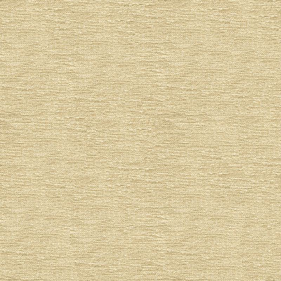 Kravet Smart 33831-1116 by Kravet Smart Designer Fabric