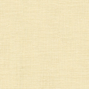 Kravet Basics 3752-1 by Kravet Basics Designer Fabric