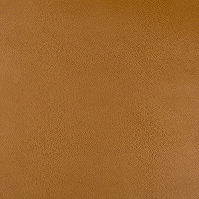 Kravet Design Dust-624 by Kravet Design Designer Fabric