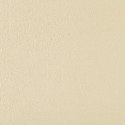 Kravet Design Swaps-116 by Kravet Design Designer Fabric