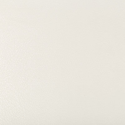 Kravet Design Deimos-1 by Kravet Design Designer Fabric