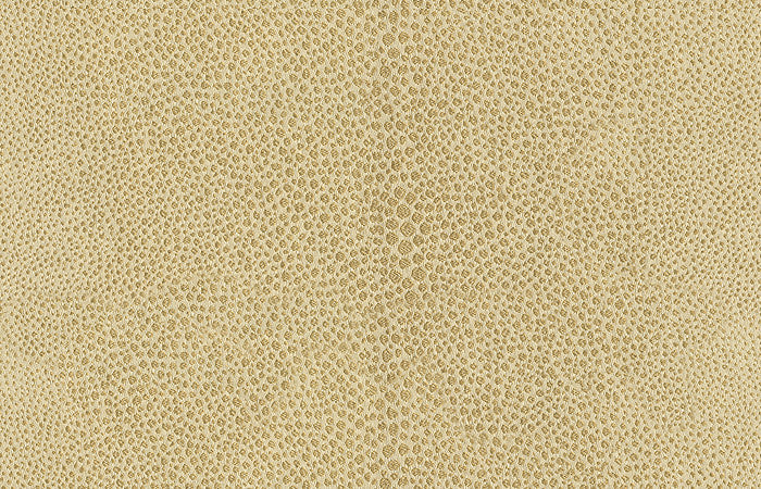 Kravet Design 32596-16 by Kravet Design Designer Fabric
