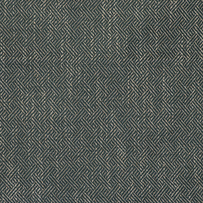 Enea Oceano by Gaston Y Daniela Designer Fabric