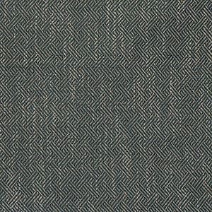 Enea Oceano by Gaston Y Daniela Designer Fabric