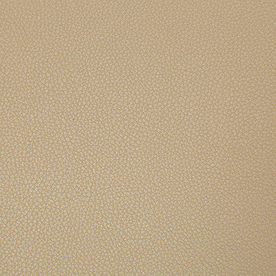 Syrus Quicksand by Kravet Contract Designer Fabric
