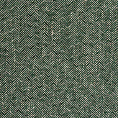 Enea Verde by Gaston Y Daniela Designer Fabric