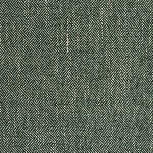 Enea Verde by Gaston Y Daniela Designer Fabric