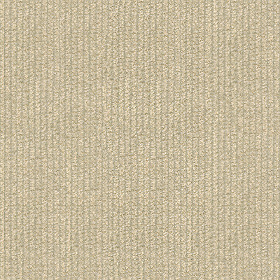Kravet Design 25763-1116 by Kravet Design Designer Fabric
