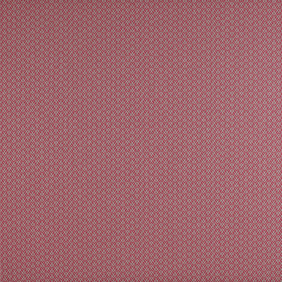 Chueca Frambuesa by Gaston Y Daniela Designer Fabric