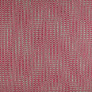 Chueca Frambuesa by Gaston Y Daniela Designer Fabric