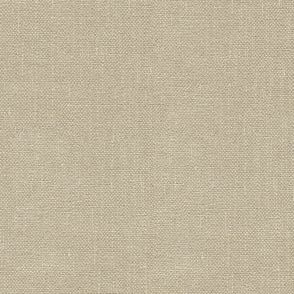Kravet Basics 33120-116 by Kravet Basics Designer Fabric