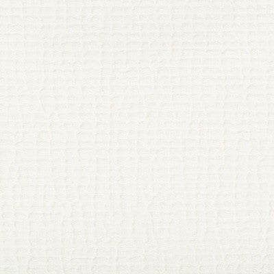 Cachuma Ivory by Kravet Couture Designer Fabric