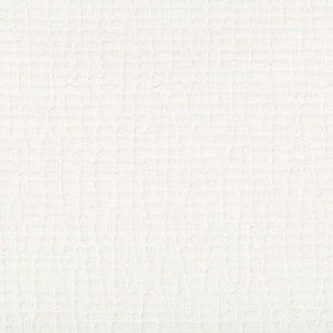 Cachuma Ivory by Kravet Couture Designer Fabric