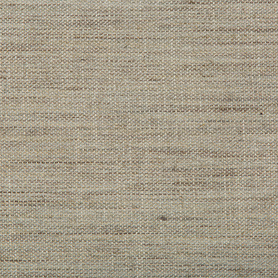 Granulated Mist by Kravet Design Designer Fabric