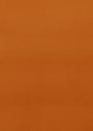 Montpellier Velvet Spice by Baker Lifestyle Designer Fabric