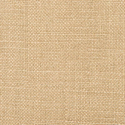 Nicaragua Kaki by Gaston Y Daniela Designer Fabric