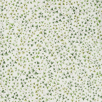 Maidenhair Olive by Cole & Son Designer Wallcovering